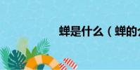 蟬是什么(蟬的介紹)