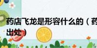 藥店飛龍是形容什么的(藥店飛龍成語解釋及出處)
