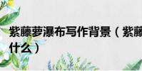 紫藤蘿瀑布寫作背景(紫藤蘿瀑布寫作背景是什么)