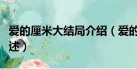 愛的厘米大結局介紹(愛的厘米大結局介紹描述)