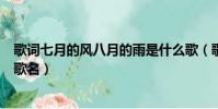 歌詞七月的風八月的雨是什么歌(歌詞七月的風八月的雨的歌名)