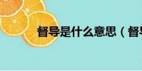 督導是什么意思(督導的含義)