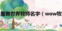 魔獸世界牧師名字(wow牧師高端游戲名字)