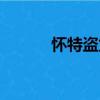 懷特盜龍（關于懷特盜龍介紹）