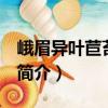 峨眉異葉苣苔 變種（關于峨眉異葉苣苔 變種簡介）