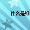 什么是維和部隊（維和部隊的介紹）