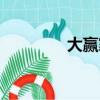 大贏家演員表（劇情簡介）
