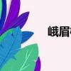峨眉柯（關于峨眉柯簡介）