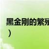 黑金剛的繁殖方法（黑金剛的繁殖方法是什么）