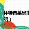 懷特普萊恩斯之戰（關于懷特普萊恩斯之戰介紹）