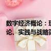 數字經濟概論：理論、實踐與戰略（關于數字經濟概論：理論、實踐與戰略簡介）