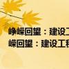 崢嶸回望：建設工程房地產等典型案例復盤與研判（關于崢嶸回望：建設工程房地產等典型案例復盤與研判簡介）