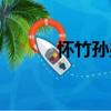 懷竹孫弟（關于懷竹孫弟介紹）