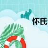 懷氏液（關于懷氏液介紹）