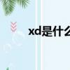 xd是什么意思（網絡語xd是意思）