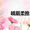 峨眉柔推術（關于峨眉柔推術簡介）
