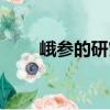 峨參的研究（關于峨參的研究簡介）