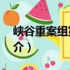 峽谷重案組第2季（關于峽谷重案組第2季簡介）