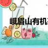 峨眉山有機茶（關于峨眉山有機茶簡介）