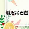 峨眉吊石苣苔（關于峨眉吊石苣苔簡介）