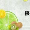 掇掇（關于掇掇簡介）