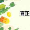 官正村（關于官正村介紹）