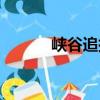 峽谷追捕（關于峽谷追捕簡介）