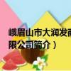 峨眉山市大潤發商業有限公司（關于峨眉山市大潤發商業有限公司簡介）