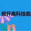 掀開高科技底牌（關于掀開高科技底牌簡介）
