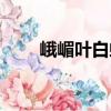 峨嵋葉白蟻（關于峨嵋葉白蟻簡介）