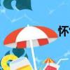 懷竹（關于懷竹介紹）