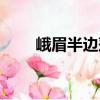 峨眉半邊蓮（關于峨眉半邊蓮簡介）