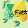 懷趙太史（關于懷趙太史介紹）