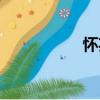 懷英（關于懷英介紹）