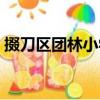 掇刀區團林小學（關于掇刀區團林小學簡介）