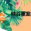 峽谷重案組（關于峽谷重案組簡介）