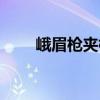 峨眉槍夾棍（關于峨眉槍夾棍簡介）