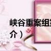 峽谷重案組第3季（關于峽谷重案組第3季簡介）