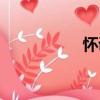 懷調（關于懷調介紹）