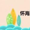 懷海濤（關于懷海濤介紹）