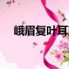 峨眉復葉耳蕨（關于峨眉復葉耳蕨簡介）