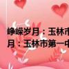 崢嶸歲月：玉林市第一中學90年1923-2013年（關于崢嶸歲月：玉林市第一中學90年1923-2013年簡介）