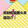 掀起你的蓋頭來：發現新疆（關于掀起你的蓋頭來：發現新疆簡介）
