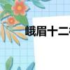 峨眉十二樁（關于峨眉十二樁簡介）