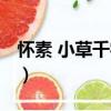 懷素 小草千字文（關于懷素 小草千字文介紹）