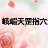 峨嵋天罡指穴法（關于峨嵋天罡指穴法簡介）