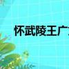 懷武陵王廣文（關于懷武陵王廣文介紹）