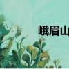 峨眉山A（關于峨眉山A簡介）