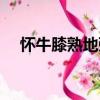 懷牛膝熟地粥（關于懷牛膝熟地粥介紹）
