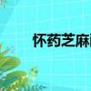 懷藥芝麻酥（關于懷藥芝麻酥介紹）
